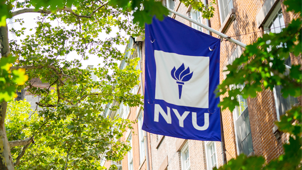 educational doctorate nyu